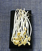 Mung bean sprouts on a ceramic plate