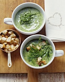 Sorrel soup and spring herb soup with croutons