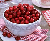 Schüssel mit Cranberries