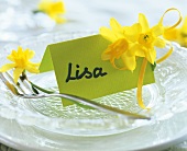 Narcissi and place card (Lisa) on glass plate