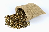Dried mugwort herb spilling out of jute sack