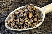 Pieces of dried gentian root on a wooden spoon