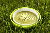Bowl of courgette soup in grass