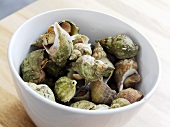 Whelks in a bowl