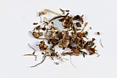 Dried herb bennet (Geum urbanum L.)