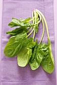 Fresh spinach leaves on a fabric napkin
