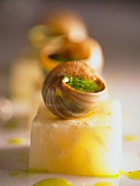 Snails with herb butter on celeriac