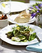Salad leaves with herbs and balsamic vinaigrette