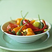 Assorted chillies in a dish