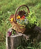 Ein Korb mit Salat und verschiedenen Blumen im Freien
