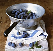 Sloes in a colander