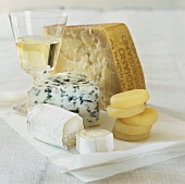 Various cheeses with wine
