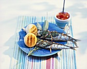 Grilled sardines with rosemary, onion and tomato salsa