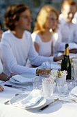 Freunde sitzen an festlich gedecktem Tisch mit Champagner