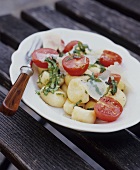 Ricotta gnocchi with tomatoes and basil