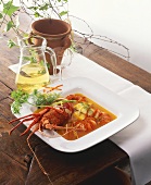 Lobster soup with white wine