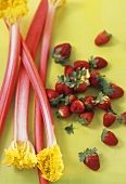 Fresh sticks of rhubarb and strawberries