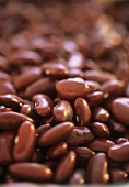 Red kidney beans, full-frame