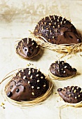 Five chocolate hedgehogs
