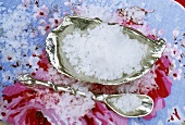 Sea salt in silver dish with silver spoon