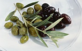 Green and black olives on a plate with olive sprig
