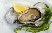 Oyster with seaweed and lemon wedge