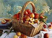 Basket full of peaches (variety: Sweet Robin)