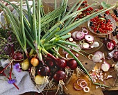 Onion still life