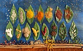 Various exotic spices on bay leaves