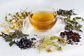 Cup of verbena tea surrounded by various herbs