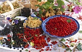 Red-, white- and blackcurrants