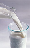 Pouring milk from a bottle into a glass
