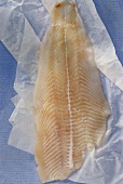 Fillet of plaice on paper