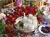 Yoghurt, milk and quark with fresh berries