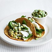 Tacos with turbot ceviche and avocado