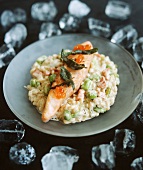 Salmon on vegetable risotto