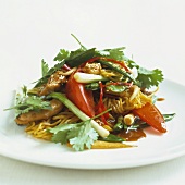 Asiatische Nudeln mit Hähnchenfleisch und Gemüse