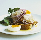 Swordfish ceviche on toast with egg and onions