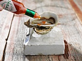 Oysters being drizzled with tabasco sauce