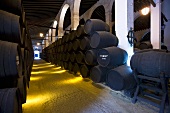The wine cellar at Bodega Terry in Jerez de la Frontera, Spain