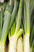 Several spring onions