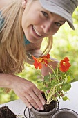 Frau setzt Kapuzinerkressepflanze in Blumentopf
