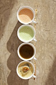 Various soups (lobster, spinach, chanterelle mushroom, cold vegetable)