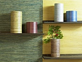 Cylindrical containers on shelves in front of different colored wall paper