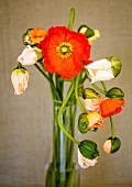 A bouquet of poppies in a vase