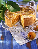 Apricot and almond buttermilk cake