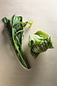 Choy sum & gai choi (Chinese flowering cabbage & Chinese mustard)