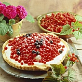 Johannisbeer-Joghurt-Torte