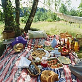 Picknick im Grünen