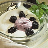 Cold coconut milk soup with blackberry ice cream